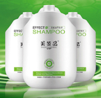 Her Türlü Saçlar İçin İpeksi Pürüzsüzleştirici Şampuan ve Saç Kremi GMPC
