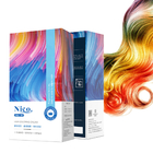 Özel Etiket Amonyak Yok Fabrika Fiyatı Profesyonel Yarı Kalıcı Saç Rengi Kremi Salon Kullanımı