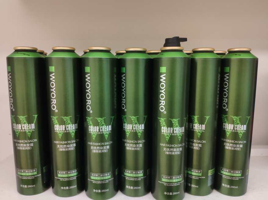 Salon İçin Uzun Ömürlü Amonyak Ücretsiz Saç Boyası Krem 19 Tabanlı Renkler 260ml